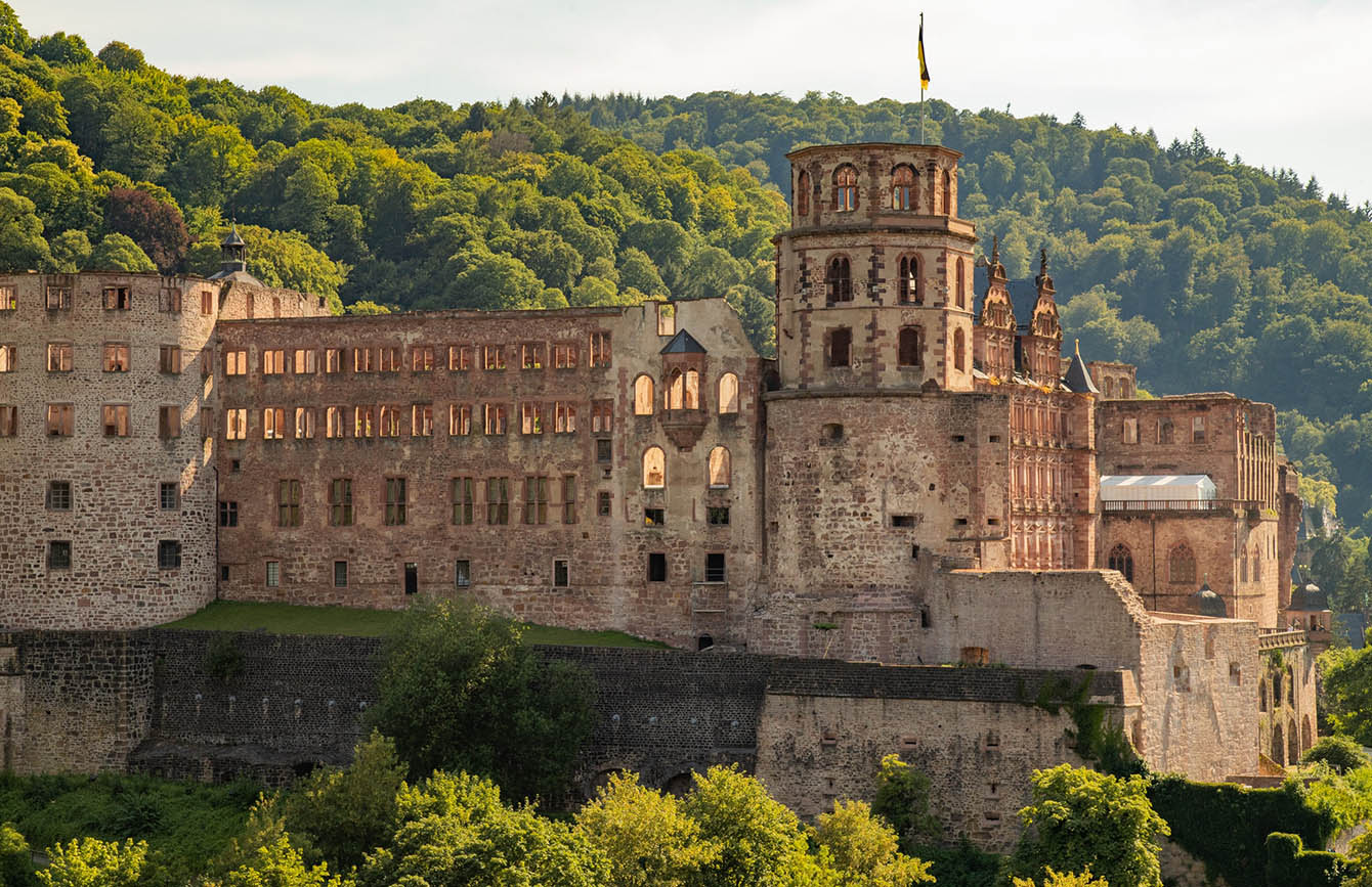 Erkundung von Heidelberg mit dem besten Freund des Menschen: Eine haustierfreundliche Stadt